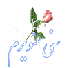 بچه های   تبریزی